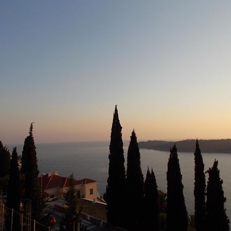 Apartment Matea Zlatni Potok Дубровник Екстериор снимка